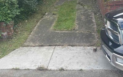 Photo of Mary S.'s yard after getting lawn care in Garfield Heights, OH