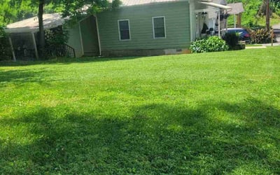 Photo of Brye B.'s yard after getting lawn care in Rockwood, TN