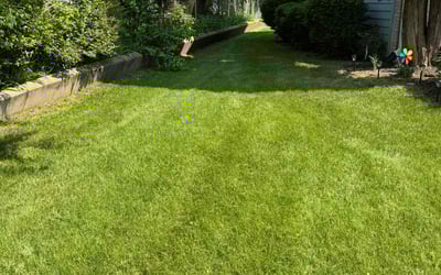 Photo of Joy R.'s yard after getting lawn care in Madison, TN
