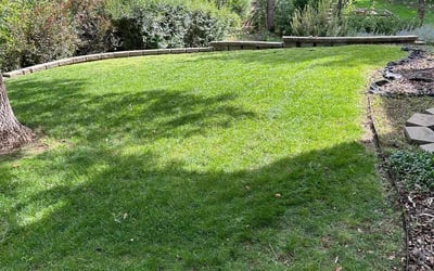 Photo of Tina T.'s yard after getting lawn care in Greenwood Village, CO