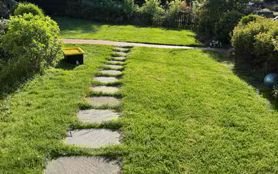 Photo of Jenny V.'s yard after getting lawn care in Bethesda, MD
