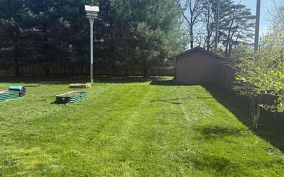 Photo of Rachel T.'s yard after getting lawn care in Columbus, OH