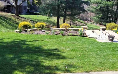 Photo of Mary P.'s yard after getting lawn care in Coraopolis, PA