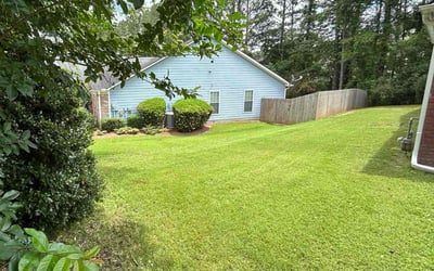 Photo of Jj G.'s yard after getting lawn care in Panama City, FL