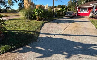 Photo of Fiona T.'s yard after getting lawn care in Fairview Park, OH