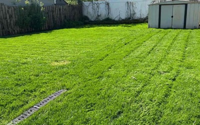 Photo of Prince O.'s yard after getting lawn care in Berkley, MI