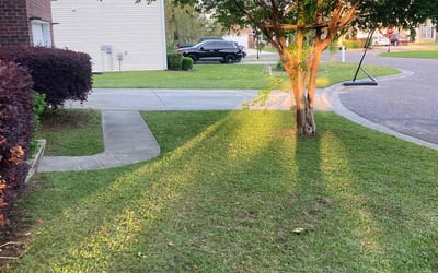 Photo of Jequetta A.'s yard after getting lawn care in Watervliet, NY