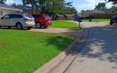 Photo of Adrienne B.'s yard after getting lawn care in East Saint Louis, IL