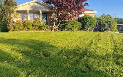 Photo of Marcie W.'s yard after getting lawn care in Lafayette, TN