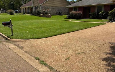Photo of Jennifer M.'s yard after getting lawn care in Denton, TX