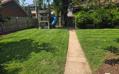 Photo of Donna D.'s yard after getting lawn care in Chagrin Falls, OH