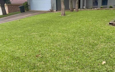 Photo of Seth W.'s yard after getting lawn care in Hurst, TX