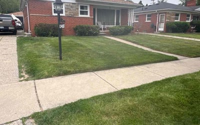 Photo of Rachel W.'s yard after getting lawn care in Apopka, FL