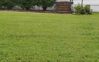 Photo of Elizabeth G.'s yard after getting lawn care in Temple, TX