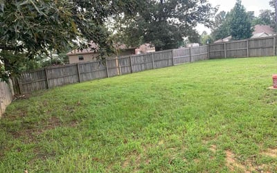 Photo of Michael W.'s yard after getting lawn care in Spicewood, TX