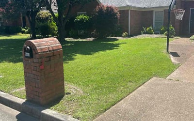 Photo of Aracely C.'s yard after getting lawn care in Media, PA