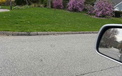 Photo of michael m.'s yard after getting lawn care in Rockland, MA