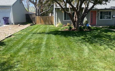Photo of Moran M.'s yard after getting lawn care in Lone Tree, CO