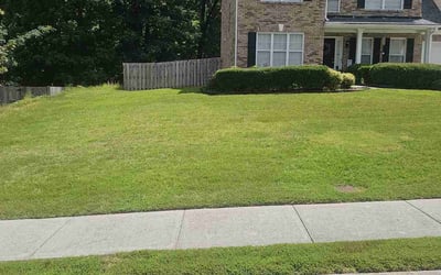 Photo of Dotty C.'s yard after getting lawn care in Lawrenceville, GA