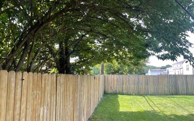 Photo of Gregg G.'s yard after getting lawn care in Blue Ash, OH