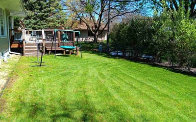 Photo of Jeffery B.'s yard after getting lawn care in Bloomington, MN