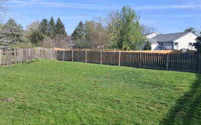 Photo of Kristine H.'s yard after getting lawn care in Columbus, OH