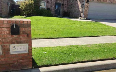 Photo of Jim S.'s yard after getting lawn care in Watsonville, CA