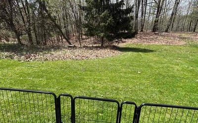 Photo of Rhonda W.'s yard after getting lawn care in Watervliet, NY