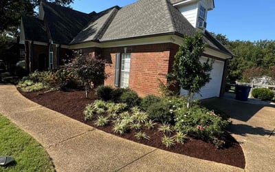 Photo of Caesar S.'s yard after getting lawn care in Olive Branch, MS