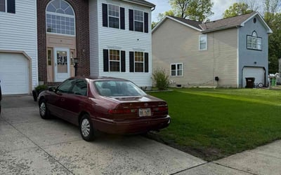 Photo of Gabriela J.'s yard after getting lawn care in Bloomfield, NJ