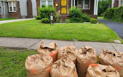 Photo of Kim D.'s yard after getting lawn care in Longs, SC