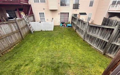 Photo of Peter J.'s yard after getting lawn care in New Rochelle, NY
