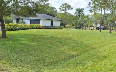 Photo of Joel D.'s yard after getting lawn care in West Palm Beach, FL