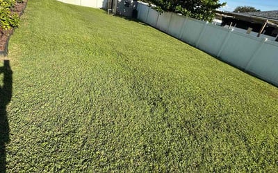 Photo of Brittany J.'s yard after getting lawn care in Lehigh Acres, FL