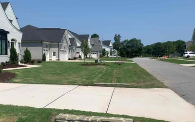 Photo of Justin W.'s yard after getting lawn care in Princeton, NC
