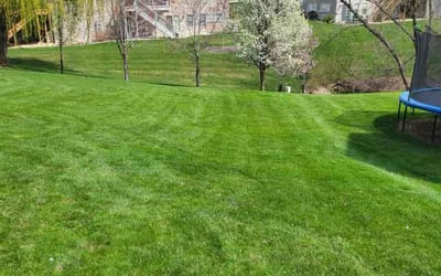 Photo of Linda N.'s yard after getting lawn care in Morton, IL