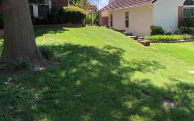 Photo of Kelly B.'s yard after getting lawn care in Ankeny, IA