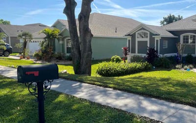 Photo of Dohn K.'s yard after getting lawn care in Groveland, FL
