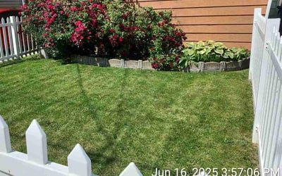 Photo of Jessica D.'s yard after getting lawn care in Norfolk, VA