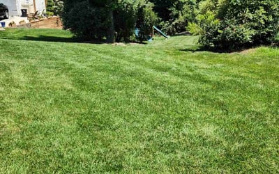 Photo of Deborah R.'s yard after getting lawn care in South Bend, IN