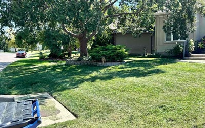 Photo of Cory W.'s yard after getting lawn care in Augusta, KS