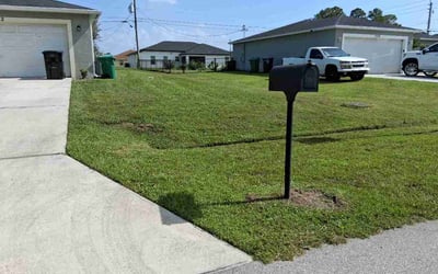 Photo of Taunya N.'s yard after getting lawn care in Berlin, MD