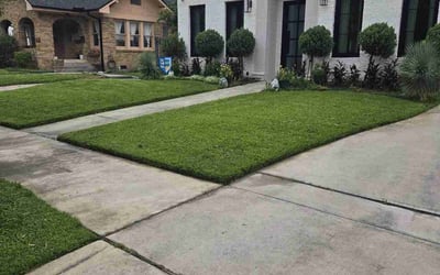Photo of Antonio G.'s yard after getting lawn care in Houston, TX