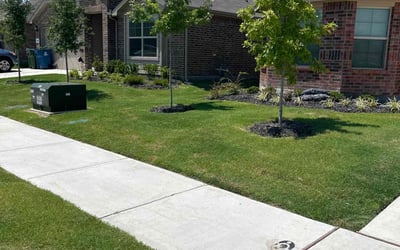 Photo of Tracy O.'s yard after getting lawn care in Balch Springs, TX
