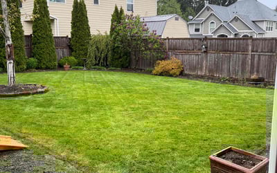Photo of Rich P.'s yard after getting lawn care in Graham, WA