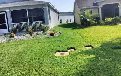 Photo of Eric S.'s yard after getting lawn care in Leesburg, FL
