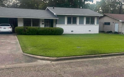 Photo of Julie C.'s yard after getting lawn care in Holliston, MA