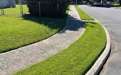 Photo of Stephen D.'s yard after getting lawn care in West Deptford, NJ