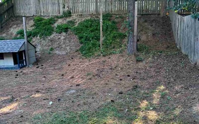 Photo of Dina B.'s yard after getting lawn care in Brick, NJ