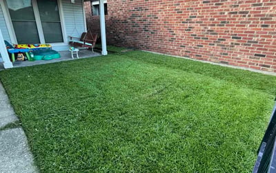 Photo of Jaime V.'s yard after getting lawn care in Mays Landing, NJ